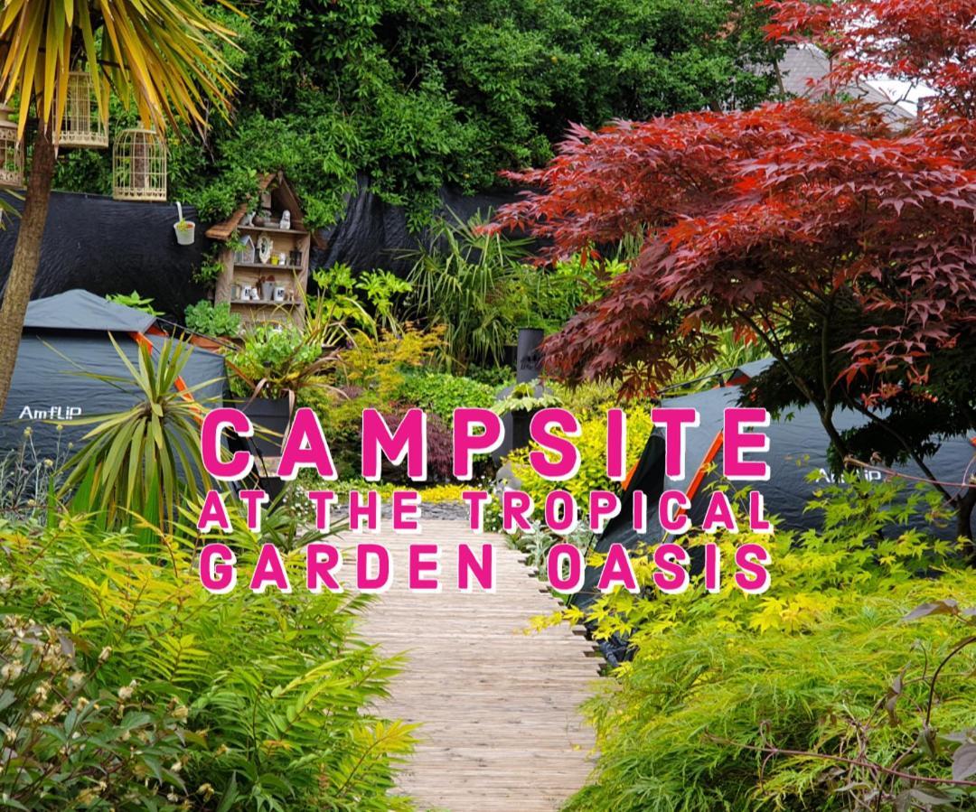 Tropical Garden Oasis Rooms Birmingham Cameră foto